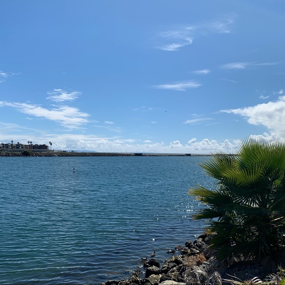 Meet your Posher - Picture 1 of 2